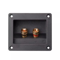 Plaque de bornes audio plaquée or à 2 voies, carrée à montage encastré, pour amplificateur de haut-parleur DIY