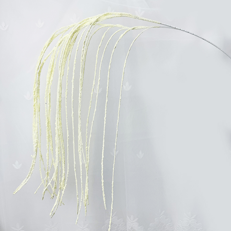 blanc crème