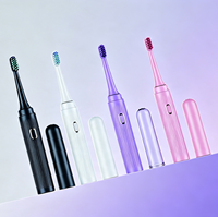 Brosse à dents électrique sonique rechargeable portable pour adultes, 3 modes de nettoyage, IPX7, pour la maison et les voyages, soins bucco-dentaires, OEM
