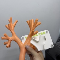 Modelo de Práctica de Endoscopia Flexible Personalizado, Color Carne, Simulación 3D de Modelo Bronquial Flexible