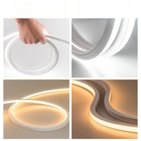 Lampe à néon à LED personnalisée, flexible, étanche, pour décorations extérieures, tube flexible en bande RVB
