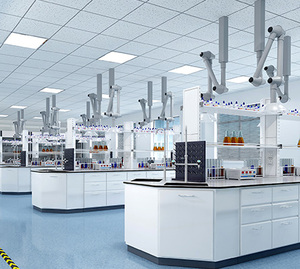 Cápsulas de extracto de raíz de Maca vegana OEM/ODM suplemento de hierbas para aumentar la resistencia - Product Image 5