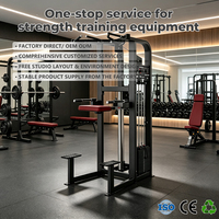 Liva LH-07 Appareil Commercial de Musculation à Charge par Poids pour Tractions et Dips, Station Simple pour Entraînement en Salle de Sport