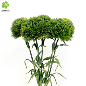 QIHAO Flor Artificial de Clavel Verde, Flores de Plástico Suave en Jarrón para Decoración del Hogar, Renovación de Balcones - Product Image 4
