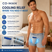 Produits Tendances 2026 Nouveautés Inserts de Sous-vêtements Réutilisables – Compresse Froide pour Testicules, Soutien et Soulagement de la Douleur, pour Boxers