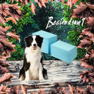 Almohadillas Absorbentes para Orina de Perros, Almohadillas Gruesas Desodorantes, Pañales Sanitarios para Conejos, Pañales para Perros y Gatos - Product Image 6