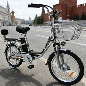 Vélo électrique de livraison de marchandises <span class=keywords><strong>Princess</strong></span> Yilan, prix usine, 36V 250W, 20 pouces, pour livraison de nourriture, Russie - Product Image 3