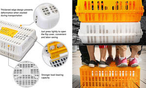 Cage à poulets en plastique jaune, nouvelle, grande, en plastique, pour le <span class=keywords><strong>transport</strong></span> <span class=keywords><strong>de</strong></span> volailles, <span class=keywords><strong>caisse</strong></span> <span class=keywords><strong>de</strong></span> <span class=keywords><strong>transport</strong></span> pour <span class=keywords><strong>canard</strong></span>, oie, lapin, boîte <span class=keywords><strong>de</strong></span> reproduction, matériel - Product Image 5