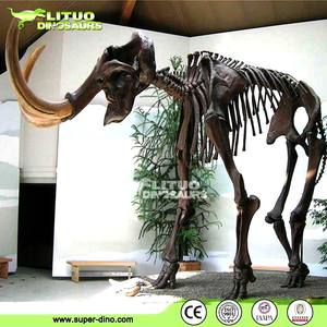 Museo de Fósiles de Animales, Dinosaurio de Mamut Animado y Realista en 3D - Product Image 4