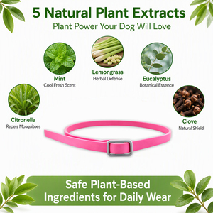 Collier <span class=keywords><strong>anti</strong></span>-puces pour <span class=keywords><strong>chien</strong></span> réglable, <span class=keywords><strong>naturel</strong></span>, longue durée, protection de 8 mois - Product Image 2