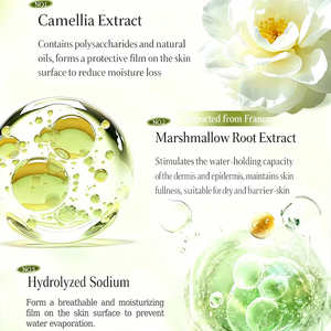 Pack familial de grande capacité Shampooing au camélia Parfum longue durée Ensemble de soins capillaires hydratants pour lisser la beauté Soins personnels - Product Image 5