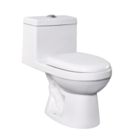 WC monobloc en céramique à double chasse, sans bride, à siphon, écologique, personnalisé pour hôtels traditionnels