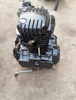 Moteur de moto refroidi par air, 190cc, 4 temps, 1 cylindre, démarrage électrique, allumage CDI, pour Fierce Bird.