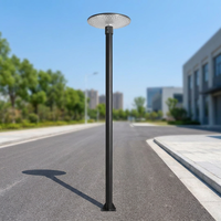 Lampe de rue LED solaire IP65 rechargeable avec piles AAA, télécommande, corps en aluminium, intensité variable, certifiée CE pour usage en jardin