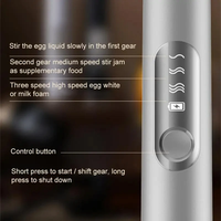Mousseur à lait électrique portatif, 3 vitesses, mousseur à café, batteur à œufs, mélangeur à lait, rechargeable par USB, design minimaliste