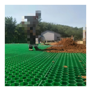 Heavy Duty HDPE 48mm Grass Paver Grille pour Jardin Perméable Drive Way Gravier Pose <span class=keywords><strong>Dalles</strong></span> De <span class=keywords><strong>Béton</strong></span> Stabilisateur De Sol - Product Image 5