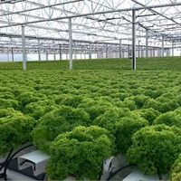 Serre solaire de jardin en film plastique PVC, kit complet avec canaux NFT pour culture hydroponique, qualité alimentaire, grande taille, 10 ans de garantie