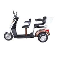 Trike électrique à 3 roues certifié Vista-L1 EEC-Scooter de mobilité de style moto pour adultes