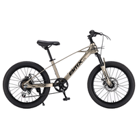 Vélo de montagne MTBGO, fabricant, 20 pouces, frein à disque double, fourche à 7 vitesses, utilisation hors route, pédales ordinaires