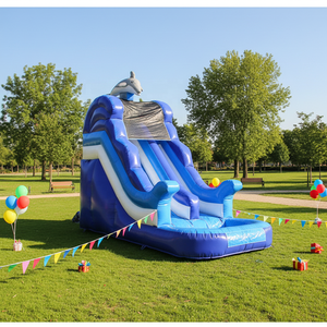 Toboggan aquatique gonflable Dolphin <span class=keywords><strong>de</strong></span> qualité commerciale, trampoline, piscine, matériau PVC, garantie 3 ans, personnalisable pour adultes et enfants, idéal pour les fêtes - Product Image 4