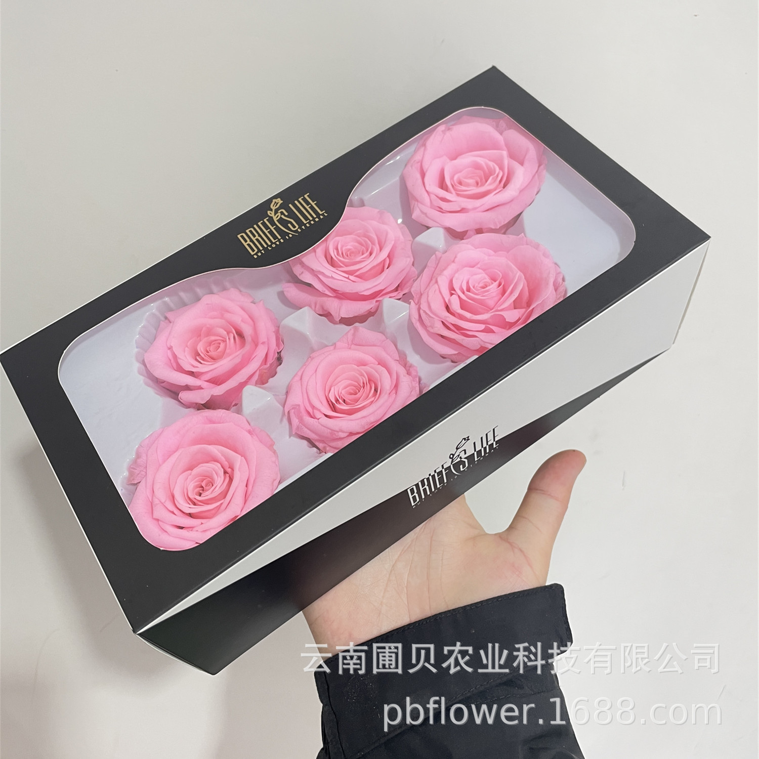 Rose vif-paquet de 6