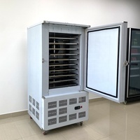 Machine de congélation rapide pour la restauration commerciale, idéale pour les raviolis, les baozi et les empanadas