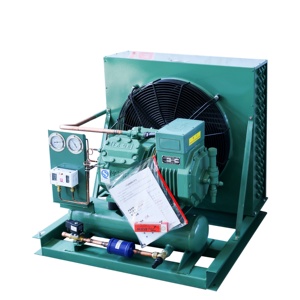 Unidad Condensadora <span class=keywords><strong>de</strong></span> Compresor <span class=keywords><strong>de</strong></span> Pistón Refrigerado por <span class=keywords><strong>Aire</strong></span> <span class=keywords><strong>de</strong></span> 6.5HP, Pequeño, Alemán, con un Ventilador para Sistema <span class=keywords><strong>de</strong></span> Refrigeración - Product Image 2