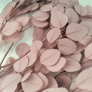 Feuilles d'<span class=keywords><strong>eucalyptus</strong></span> séchées et blanchies naturellement, branches d'<span class=keywords><strong>eucalyptus</strong></span> séchées et préservées au toucher réel, <span class=keywords><strong>guirlande</strong></span> d'<span class=keywords><strong>eucalyptus</strong></span> verte - Product Image 1