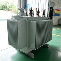 Transformateur de distribution immergé dans l'huile S13-M 10kV/400V, super économie d'énergie, tension d'entrée/sortie personnalisée