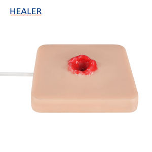 Entrenador <span class=keywords><strong>de</strong></span> embalaje <span class=keywords><strong>de</strong></span> <span class=keywords><strong>heridas</strong></span> <span class=keywords><strong>de</strong></span> bala con almohadilla <span class=keywords><strong>de</strong></span> práctica <span class=keywords><strong>de</strong></span> sutura Kit <span class=keywords><strong>de</strong></span> entrenamiento <span class=keywords><strong>de</strong></span> Ciencias Médicas - Product Image 3