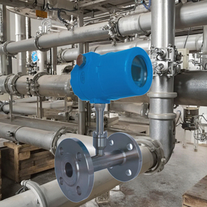 工場価格 Dingyi ステンレス鋼 カスタマイズ可能 OEM 熱式質量流量計 フランジ 1.5%~2.5% 精度 DN50 可燃性ガス用 - Product Image 5