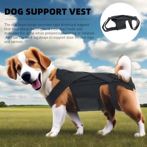 2025 <span class=keywords><strong>Dog</strong></span> Back Brace para perros Artritis <span class=keywords><strong>Protector</strong></span> de espalda Ayuda a aliviar el dolor Recuperación y rehabilitación quirúrgica - Product Image 3
