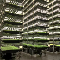 Système hydroponique vertical NFT pour la culture de la laitue en intérieur, équipement de culture qui permet de gagner de la place