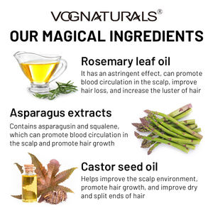 Kit <span class=keywords><strong>de</strong></span> Soins Capillaires Avancé Anti-DHT avec Shampoing au Palmier Nain et à la Biotine pour la <span class=keywords><strong>Chute</strong></span> et l'Amincissement des <span class=keywords><strong>Cheveux</strong></span>, pour Hommes et Femmes - Product Image 3