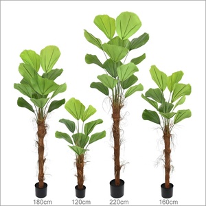 <span class=keywords><strong>Palmier</strong></span> <span class=keywords><strong>Licuala</strong></span> Artificiel avec Pot, Plante de <span class=keywords><strong>Palmier</strong></span> en Fausse Feuille de <span class=keywords><strong>Palmier</strong></span>, Plante Tropicale en Pot pour la Décoration Intérieure de la Maison et du Bureau - Product Image 3