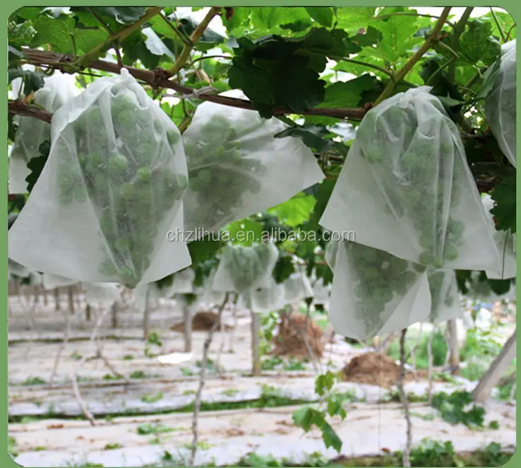breathable agricultural cover pp fabric Non woven Cloth Polypropylene Non woven Weed Mat for plant protect weed control