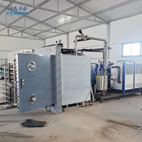 Secador por Vacío de Pulso YZG/FZG para Productos Químicos, Baja Temperatura, GMP, Frutas y Alimentos