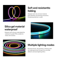 Bande LED Ambiante RGB à Émission Latérale, Néon Flexible en PVC, Étanche IP65, DC24V, 2835, 96 LED, 8W/m, Coupable à 62,5mm, OEM, CE, RoHS