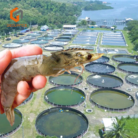 GVS Étang à poissons Réservoir d'eau Bâche EVA Réservoir à poissons Étang d'élevage Bâche en PVC Étang à poissons
