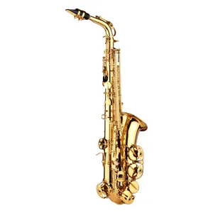 AS200 Eb Saxofone Alto Latão Sax Alto Saxofone Instrumento de Sopro com Carry Case Luvas Correias Escova De Pano De Limpeza