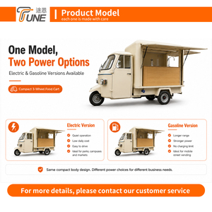 Carretto Alimentare <span class=keywords><strong>Elettrico</strong></span> a Tre Ruote Stile Piaggio per Vendita Bevande, Fornitore all'Ingrosso - Product Image 4