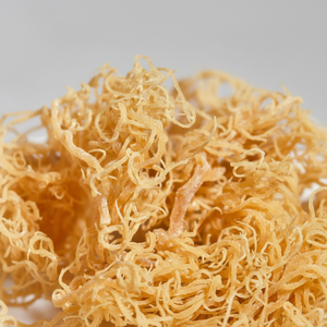 High Quality Sea Moss/ <b>Irish</b> Sea Moss for Making Sea Moss Gel /Serena - Product Image 1