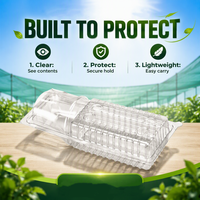 Emballage en blister en plastique PET transparent recyclable et personnalisable pour plantes