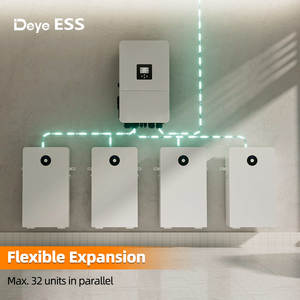 Baterai Lithium Ion Deye RW-F16 51.2V 314AH 16kwh, Baterai Solar Lifepo4 Terpasang di Dinding dengan BMS 6000 siklus - Product Image 5