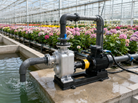 Pompe à eau électrique centrifuge auto-amorçante SQHB pour l'agriculture avec longue raccordement