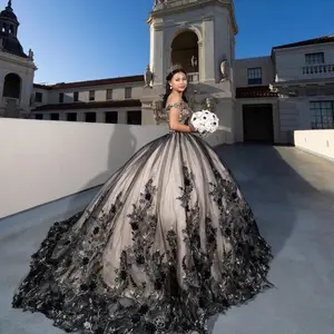 فستان الأميرة تول الكرة فساتين Quinceanera Meninas De 15 يزين 3D زهرة Ballkleid Vestidos