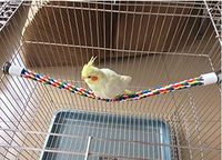 Coton coloré avec cloche support d'escalade barre élastique perroquet mâcher oiseau jouet pièces grand oiseau perche corde
