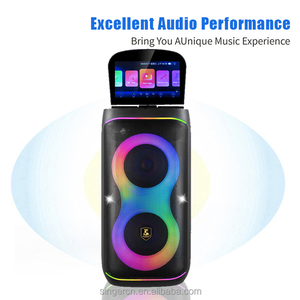 CH-2601AV Haut-parleur avec 2 woofers de 6,5 pouces et écran professionnel de 11,6 pouces, modèle privé, karaoké, 8 modes d'éclairage au choix - Product Image 3