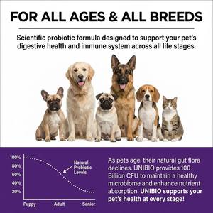 Complément Probiotique 100 Milliards UFC 6 Souches <span class=keywords><strong>Poudre</strong></span> Santé Intestinale & Immunitaire pour Chats & Chiens Toutes Races & Âges Logo Personnalisé - Product Image 2