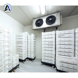 Cámara Frigorífica de 100 Metros Cuadrados para Almacenamiento de Cebollas - Product Image 1
